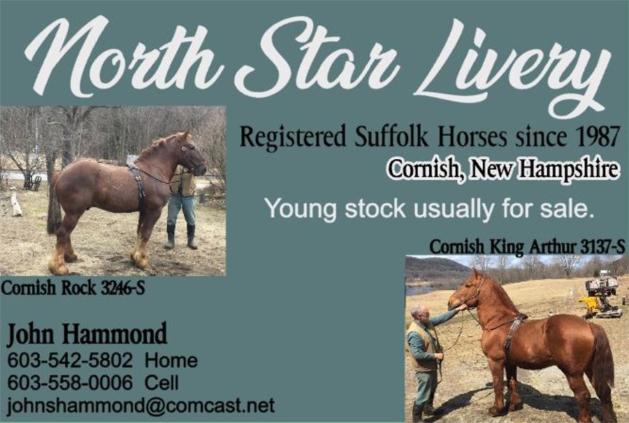 North American Suffolk Horse Association - Home